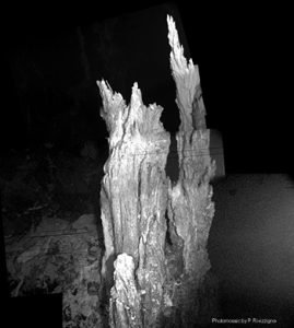 hydrothermal vent